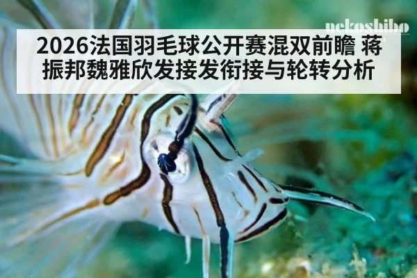 2026法国羽毛球公开赛混双前瞻 蒋振邦魏雅欣发接发衔接与轮转分析